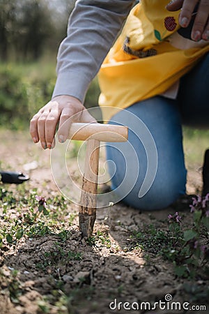 Close-up view of wooden hand seeder in the ground Stock Photo