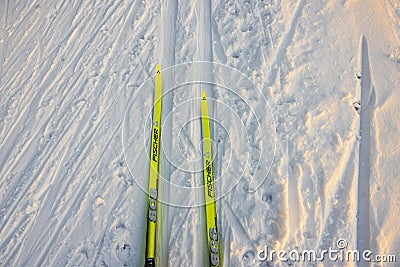 Close-up view of yellow Fischer cross-country classic plastic skis on ski track. Editorial Stock Photo