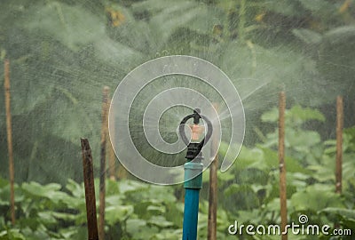 Close up of water springer spraying water. Stock Photo