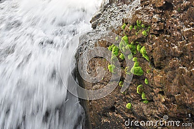 Close up of waterfall Stock Photo