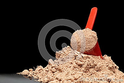 Close-up Whey Protein Powder in measuring scoop. Stock Photo