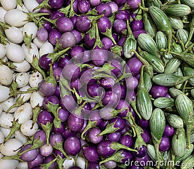 Close up white,purple and green eggplant display Stock Photo