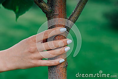 close-up of woma hand touching young tree trunk, concept of environmental protection and restoration of natural Stock Photo