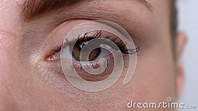 Close-up woman eye looking into camera, hypoallergenic waterproof cosmetics Stock Photo