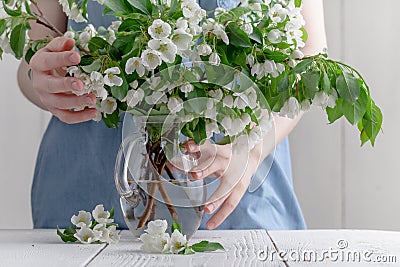 Close-up of woman`s hand holding a branch of spring blooming apple tree.Florist concept Stock Photo
