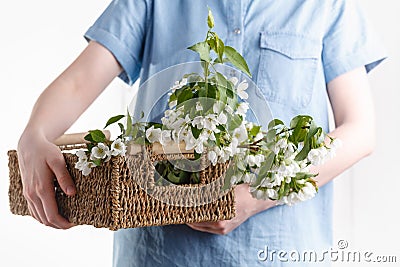 Close-up of woman`s hand holding a branch of spring blooming apple tree.Florist concept Stock Photo