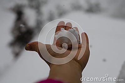 Close-up of a woman`s hand holding a snow cake against the background of a strong snowstorm and blizzard Stock Photo