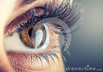 Close-up of woman's eye. macro beautiful female eye.New futuristic and technology concept Stock Photo