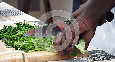 Close-up of women`s hands chopping vegetables Stock Photo