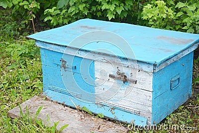 Close up on Wooden Dadant Blue Bee hive. Stock Photo