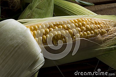 Close up yellow corn Stock Photo