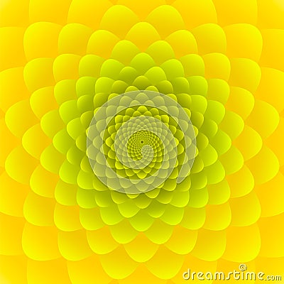 Close-up Yellow Sunflower inflorescence. Abstract floral pattern design Stock Photo
