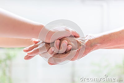 Close up of young woman hand holding with tenderness an elderly Stock Photo