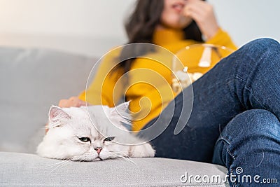 Close up of young women stroking domestic cat while watching movie. Attractive beautiful female sit on sofa, spend leisure free Stock Photo