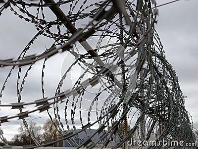 Close-up Ð²arbed wire on the background gray sky. Prison concept, space for text Stock Photo