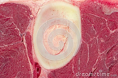 Close view beef hind shank with bone Stock Photo