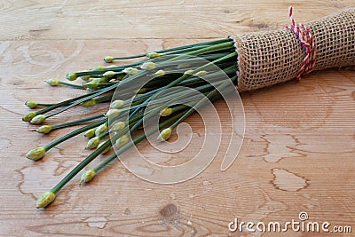 Close view of bundle of chives bound in burlap on a weathered wood background, copy space Stock Photo
