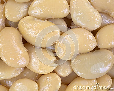 Close view butter beans Stock Photo