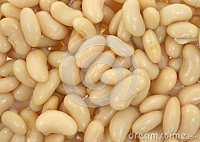 Close view cannellini beans Stock Photo