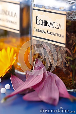 Close view of Echinacea Angustifolia plant extract Stock Photo