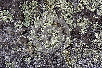 Close view of a granite hewn stone covered with lichen Stock Photo