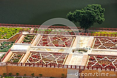 Close view of Kesar Kyari Saffron Garden on Maota Lake from Am Stock Photo