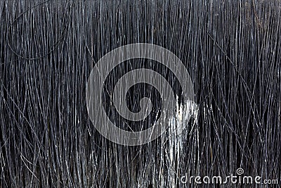 Close view of old black bristle paintbrush Stock Photo