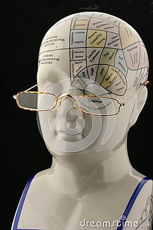 Close view of Phrenology Head with reading glasses Stock Photo