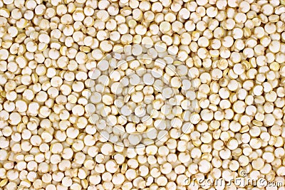 Close view of Quinoa Stock Photo
