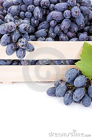 Close view of red table grape (Vitis) clusters Stock Photo