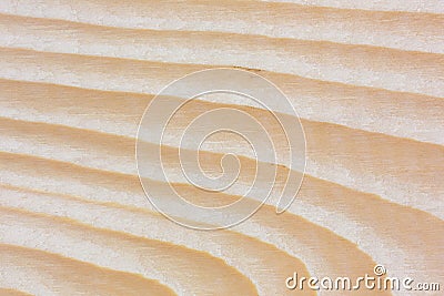 Close view of rows of dried spruce wood growth rings Stock Photo