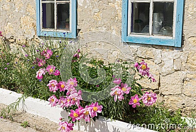 Close view on Ukrainian old peasant house and flower bed with peonies Stock Photo
