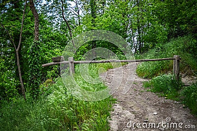 Closed Footpath in the forest of lush trees on the Euganean Hills Stock Photo