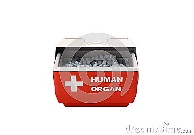 Closed human organ refrigerator box red 3d render no shadow Stock Photo