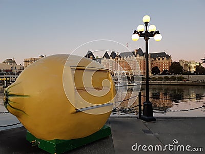 Closed lemon looking stand by a water Stock Photo