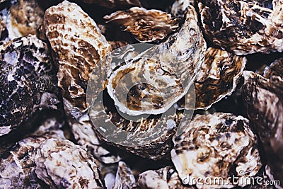 Closed oysters, fresh oyster shell, mollusks in seafood market, aphrodisiac sea restaurant, expensive fresh food, dish menu Stock Photo
