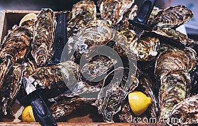 Closed oysters with lemon, fresh oyster shell, mollusks in seafood market, aphrodisiac sea food restaurant, expensive fresh food Stock Photo