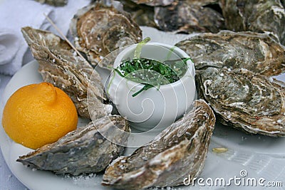Closed oysters in a plate Stock Photo