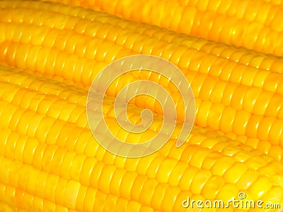 Closed up Boiled Orange Yellow Sweet Corn for Background Stock Photo