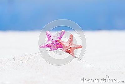Closed up on colorful pink and orange starfish on sand Stock Photo