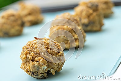 Closed up of cookie dough on baking sheet, brown hazelnuts, raisin and oatmeal put in scoop before put in the oven Stock Photo