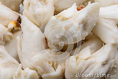 Closed up premium jumbo lump of fresh blue crab meat isolated on white background Stock Photo