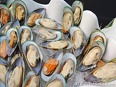 Closed up sea mussel, seafood Stock Photo