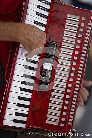 Closeup of accordionist and his instrument Stock Photo