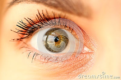 Closeup of amazing female green coloured right eye Stock Photo