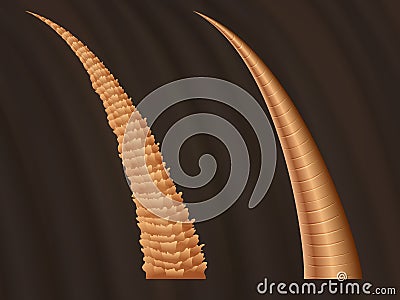 Closeup anatomy of damaged ragged hair and normal smooth hairs. Vector illustration for haircare concept Vector Illustration