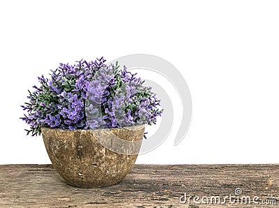 Closeup artificial plant in pot for decorate on blurred old brown wooden desk isolated on white background with copy space Stock Photo