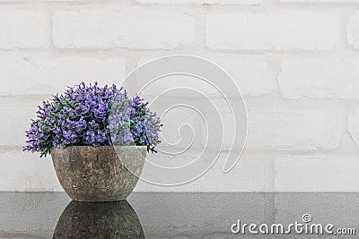 Closeup artificial purple plant on pot for decorate on black glass table and white brick wall textured background with copy space Stock Photo