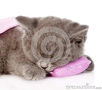Closeup baby kitten sleeping on pillow. on white background Stock Photo