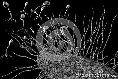 Bacteriophage Virus 3D Illustration Cartoon Illustration